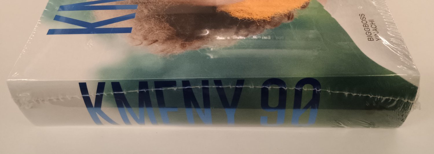 Kmeny 90 : městské subkultury a nezávislé společenské proudy v letech 1989-2000