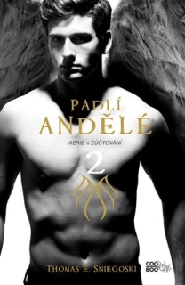 Padlí andělé